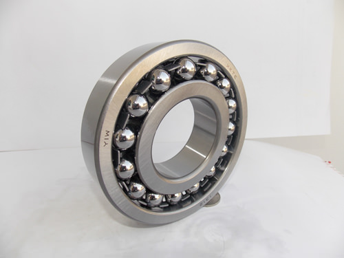 Classy Self-Aligning Ball Bearing